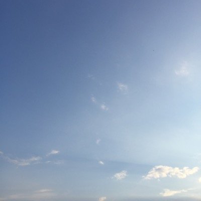 Profile Picture of Matt Karpel (@KarpelMatt) on Twitter