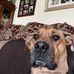Profile Picture of Andrew Heintz (Andrew Heintz) (@andrew.koom.3) on Facebook