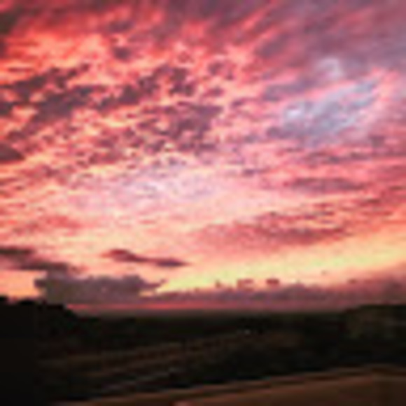 Profile Picture of Hannah Underkoffler (@hgunderkoffler) on Poshmark