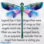 Profile Picture of Chris Hickinbottom (@chris.hickinbottom.73) on Facebook