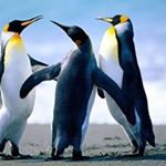 Profile Picture of Peter Hopp (@hopp_peter) on Instagram