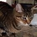 Profile Picture of Howard Baldwin (@howard.baldwin.142) on Facebook