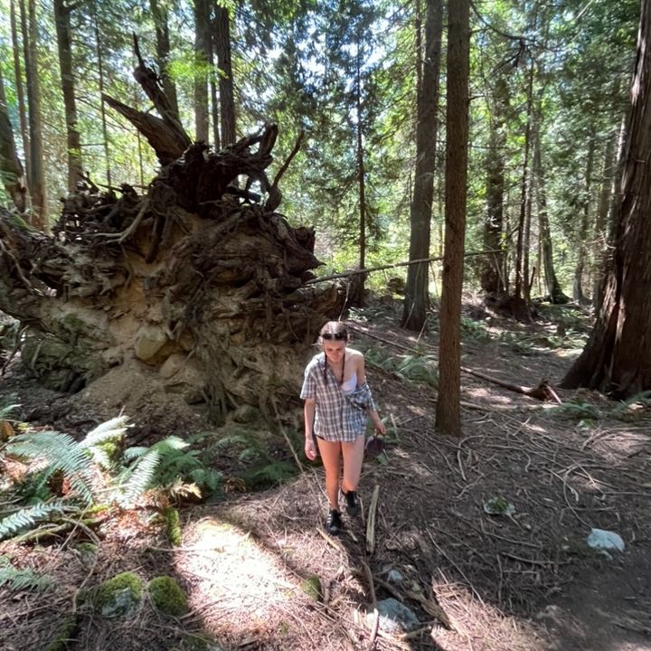 Profile Picture of •Amanda• (@amanda_hamfeldt) on Tiktok