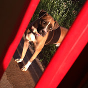 Profile Picture of Jared Arnett Christian Dykes (@jaredarnettchristiandykes5012) on Youtube