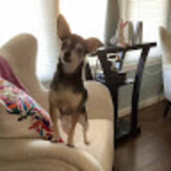 Profile Picture of Mary Stubinski (@marystubinski) on Poshmark