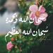 Profile Picture of Alshimaa Radwan (@alshimaar) on Pinterest