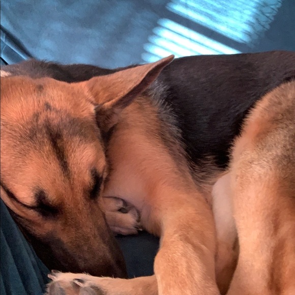 Profile Picture of Christopher Tellez (@thepelicano) on Poshmark