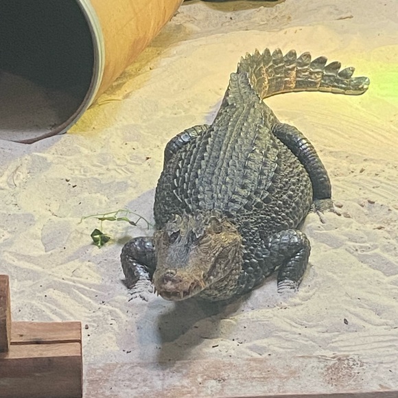 Profile Picture of Kimberley n paul Boudreau (@upie33) on Poshmark