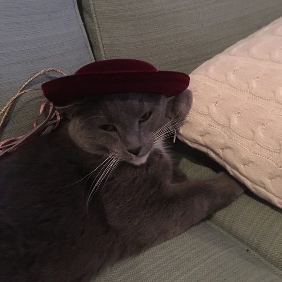 Profile Picture of Danielle Wimmler (@daucoin11) on Poshmark