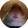 Profile Picture of Kyle McKnight (@@kyle_mckn) on Tiktok