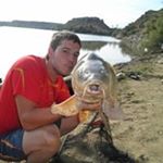 Profile Picture of daniel alameda (@alameddaniel) on Instagram