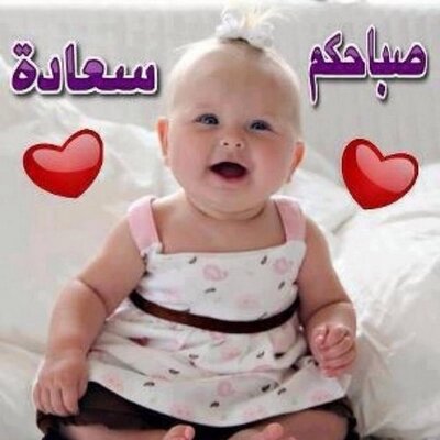 Profile Picture of Adam Akre (@AkrAdam) on Twitter