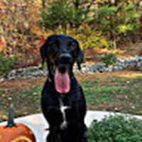 Brittany Michaud - Quora Profile Picture of Brittany Michaud (@brittany-michaud-6) on Quora