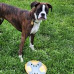 Profile Picture of Barbara Gaskill Kiefer (@barbara.kiefer.71) on Facebook