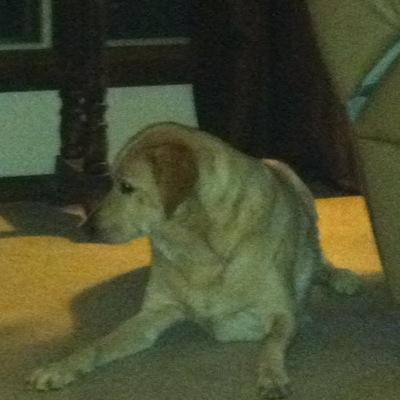 Profile Picture of Kevin Cannon (@Kevincannon17) on Twitter