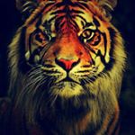 Profile Picture of douglas capazorio ramos (@douglascapazorio) on Instagram