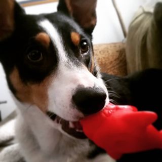 Profile Picture of Catherine Kugelman (Kat Torrence) (@kat.kugelman) on Facebook