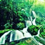 Profile Picture of cora porter (@corathecutie) on Instagram