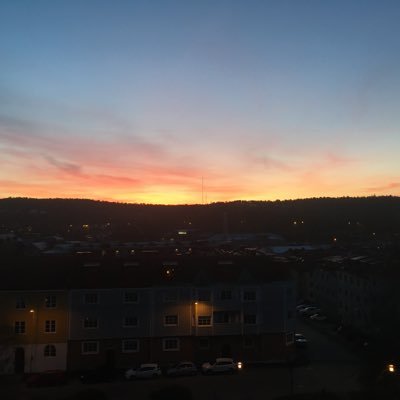 Profile Picture of D (@DrTaoWei2) on Twitter