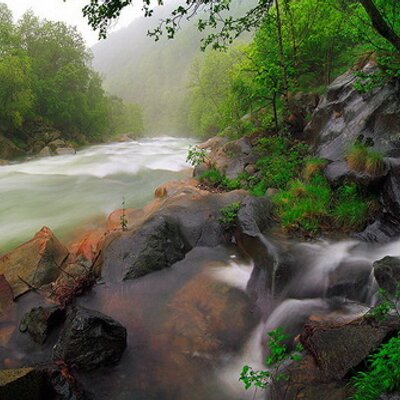 Profile Picture of Chang  Kyu   Song (@sck6066) on Twitter