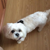 Profile Picture of Monique Dumont (@moniquedumont7638) on Youtube