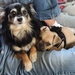 Profile Picture of Angela Fogarty (@angielynn2226) on Instagram