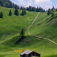 Profile Picture of Winnie Ting (@winnie-ting-11) on Quora