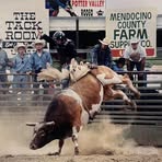 Profile Picture of Adam Lenford (@adam.lenford) on Facebook