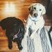 Profile Picture of Brad Hoffmann (@brad.hoffmann.921) on Facebook