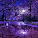 Profile Picture of paulamcauliffe (@paulamcauliffe) on Instagram