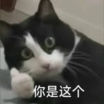 Profile Picture of Dashuai Zhao (@dashuai.zhao.3) on Facebook