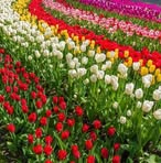 Fenades Mark Siver - Facebook Profile Picture of Fenades Mark Siver (@Fenades-Mark-Siver) on Facebook