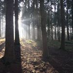 Profile Picture of Ian Marshall (@ihm489) on Instagram