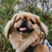 Profile Picture of Alexa Medrano (@AlexaMedrano24) on Youtube