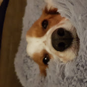 Profile Picture of Roi Schoemakers (@somebee8321) on Youtube