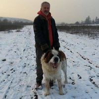 Profile Picture of Csaba Kovacs (@csaba-kovacs-8) on Quora