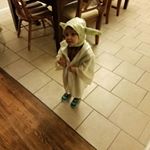 Jeremy Snodgrass - Instagram Profile Picture of Jeremy Snodgrass (@jeremysnodg) on Instagram