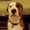 Profile Picture of brianna_ranger (@@brianna_ranger) on Tiktok