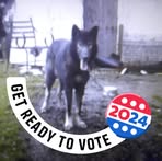 Profile Picture of Tony Bridwell (@Tony-Bridwell) on Facebook