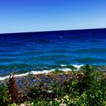 Profile Picture of Aaron Battler (@the_a_aron63) on Instagram