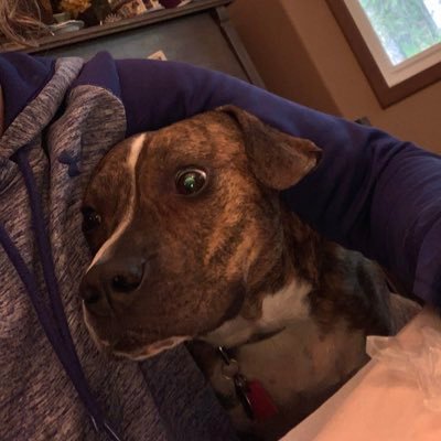 Profile Picture of Maya Vincent (@ma_ya_907) on Twitter