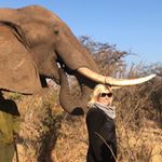 Profile Picture of Amanda Ferber (@alferber) on Instagram