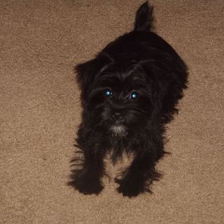 Profile Picture of Jalen Rice (@jalen.rice.3) on Facebook