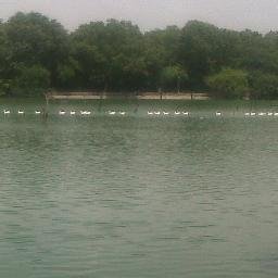 Profile Picture of Chetna Sachdeva (@chetnasachdeva5) on Twitter