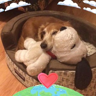 Profile Picture of Amie Mccloud (@amie.mccloud.9) on Facebook