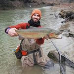 Profile Picture of Troy Wilkins (@gomer_the_goat) on Instagram