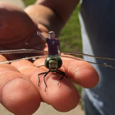 Profile Picture of Paul  Parson (@PaulPar07514858) on Twitter