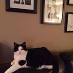 Profile Picture of Sandra Lussier (@gaudreau.jeanguy) on Instagram