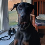 Profile Picture of Joe Nault (@joe.nault.129) on Facebook