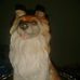 Profile Picture of Belkis Lima (@Belkis-Lima) on Facebook